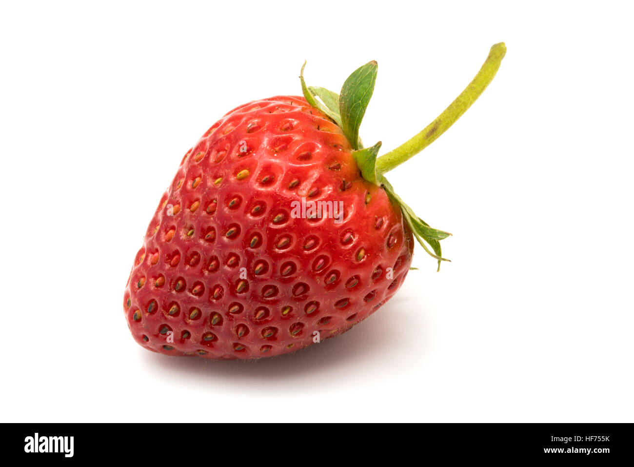 Nahaufnahme der frische reife Erdbeere isoliert auf weißem Hintergrund Stockfoto