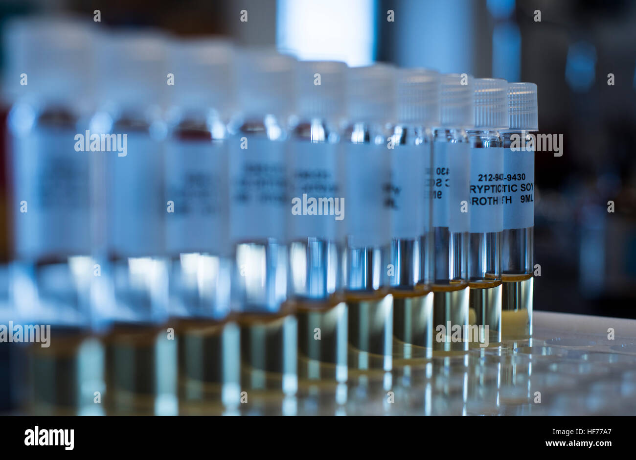 wissenschaftliche Forschung im Labor Stockfoto