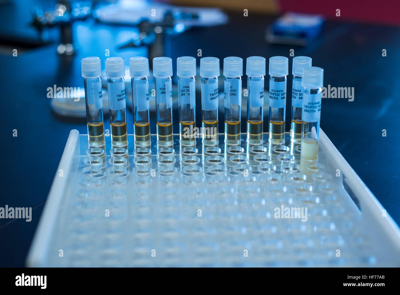 wissenschaftliche Forschung im Labor Stockfoto