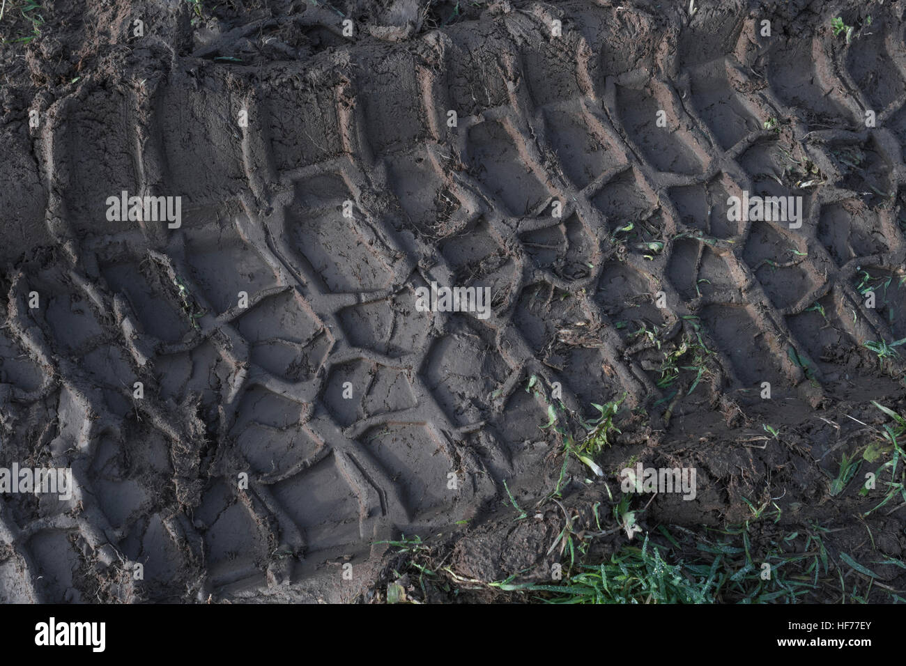 Reifendruck / Spur im Schlamm. Reifenspuren, Gleise, schlammige Spur. Stockfoto