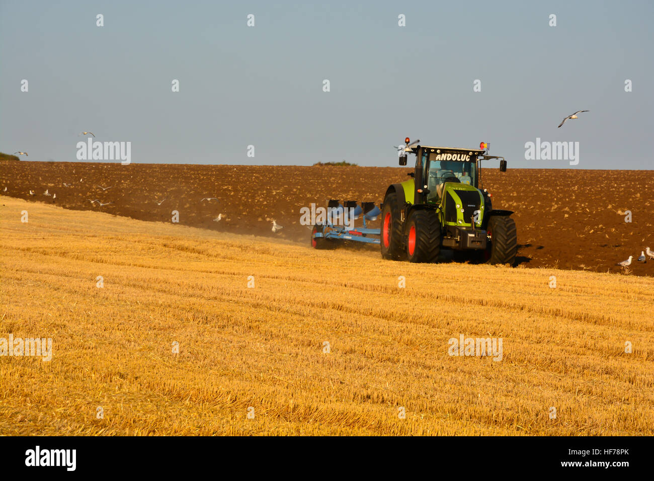 Moderne Landwirtschaft mit Traktor in gepflügtes Feld Stockfoto