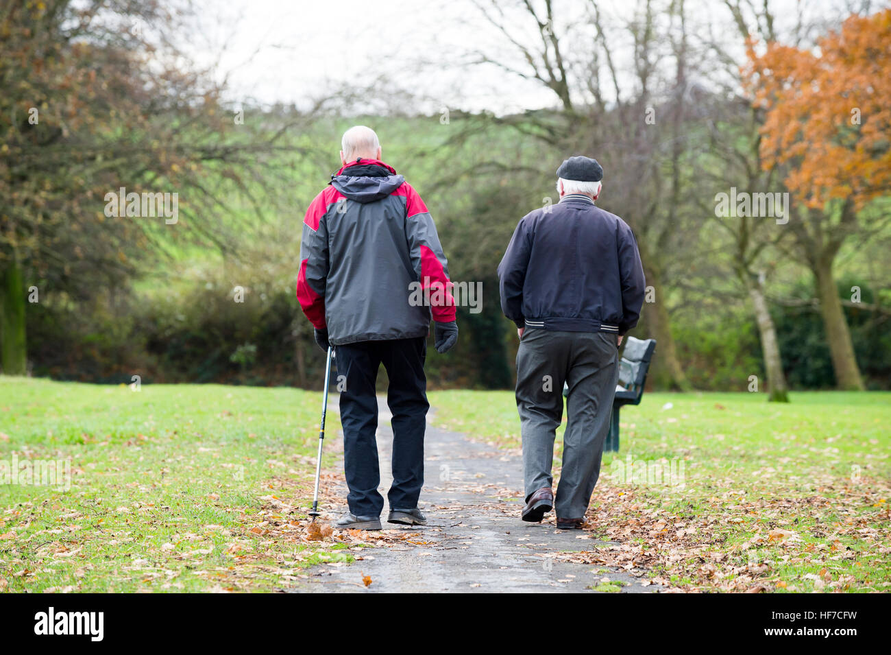 Zwei ältere Männer, mit einem Gehstock, zu Fuß in einen englischen Park. Stockfoto