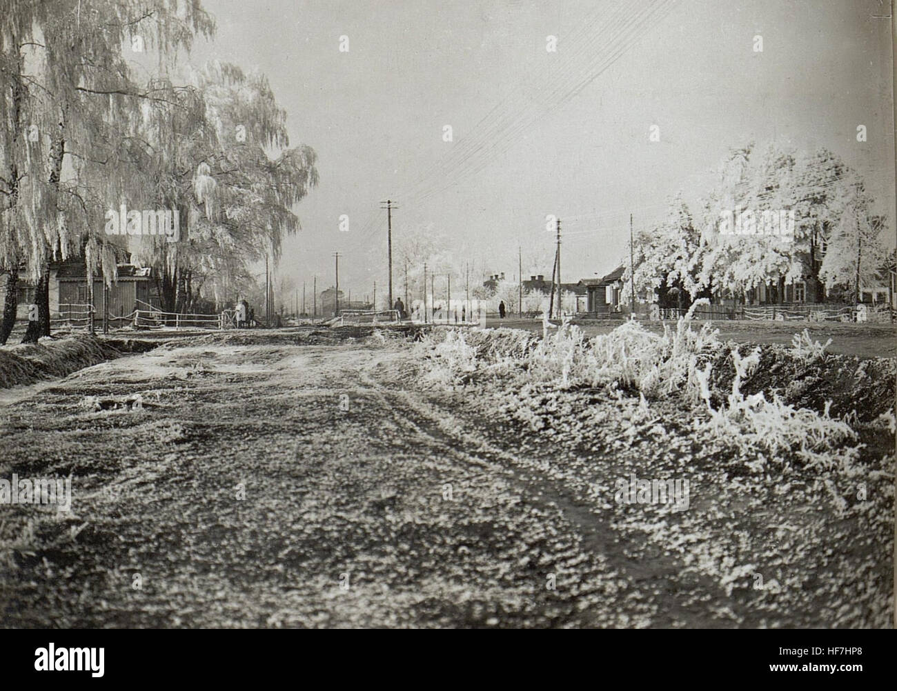 Diese Fotosammlung mit dem Titel *Aufnahmen aus der Etappe am russischen Kriegsschauplatz* dokumentiert Szenen der Ostfront während des Ersten Weltkriegs. Die Bilder erfassen das militärische Leben und die Kriegsführung in Russland im frühen 20. Jahrhundert. Stockfoto