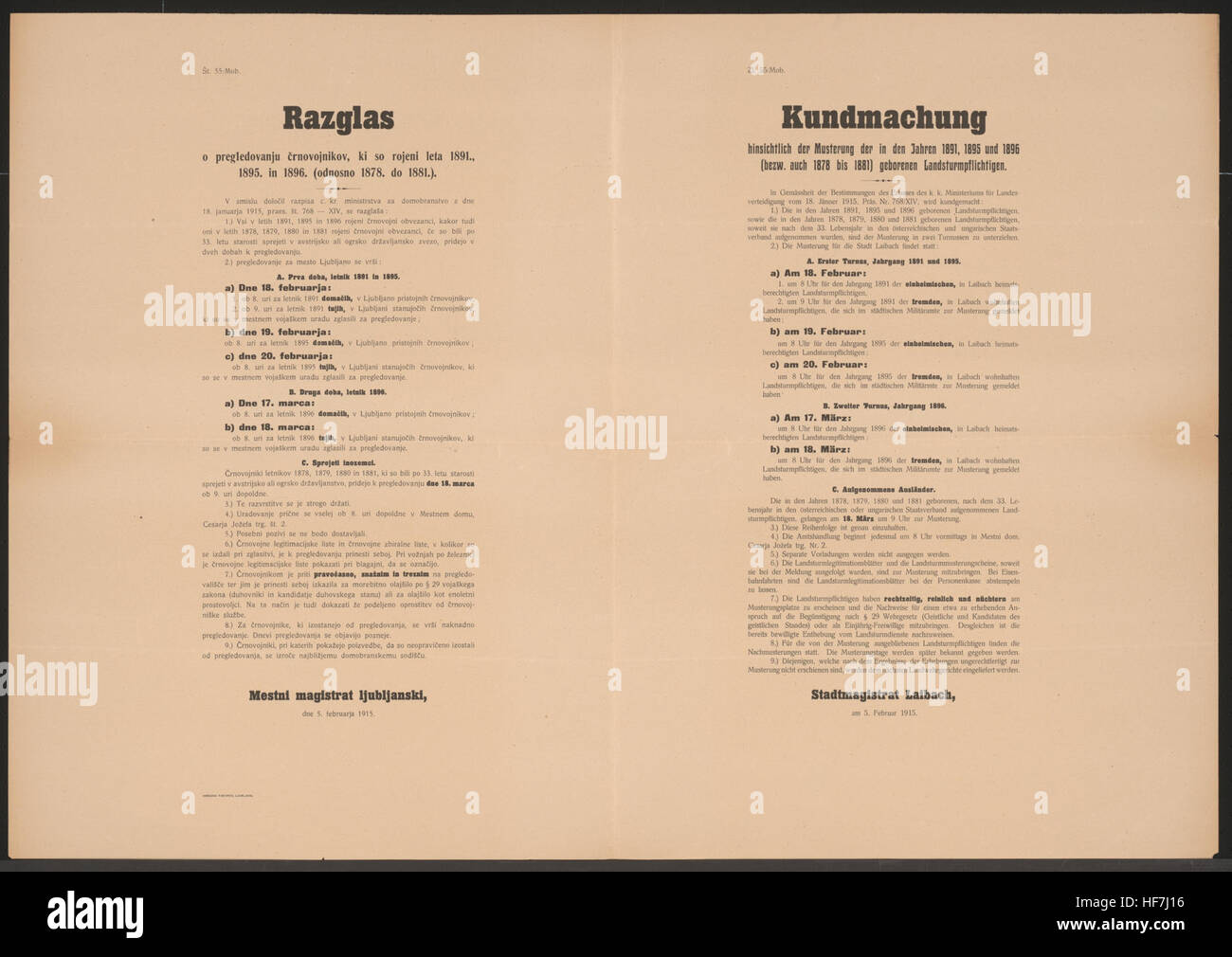 Dieses mehrsprachige Poster aus dem Jahr 1915 gibt Aufschluss über den Wehrprozess in Laibach während des Ersten Weltkriegs. Es enthält Rekrutierungszeitpläne und Anweisungen für Wehrpflichtige, einschließlich ausländischer Rekruten, im Rahmen der militärischen Mobilisierungsbemühungen. Stockfoto