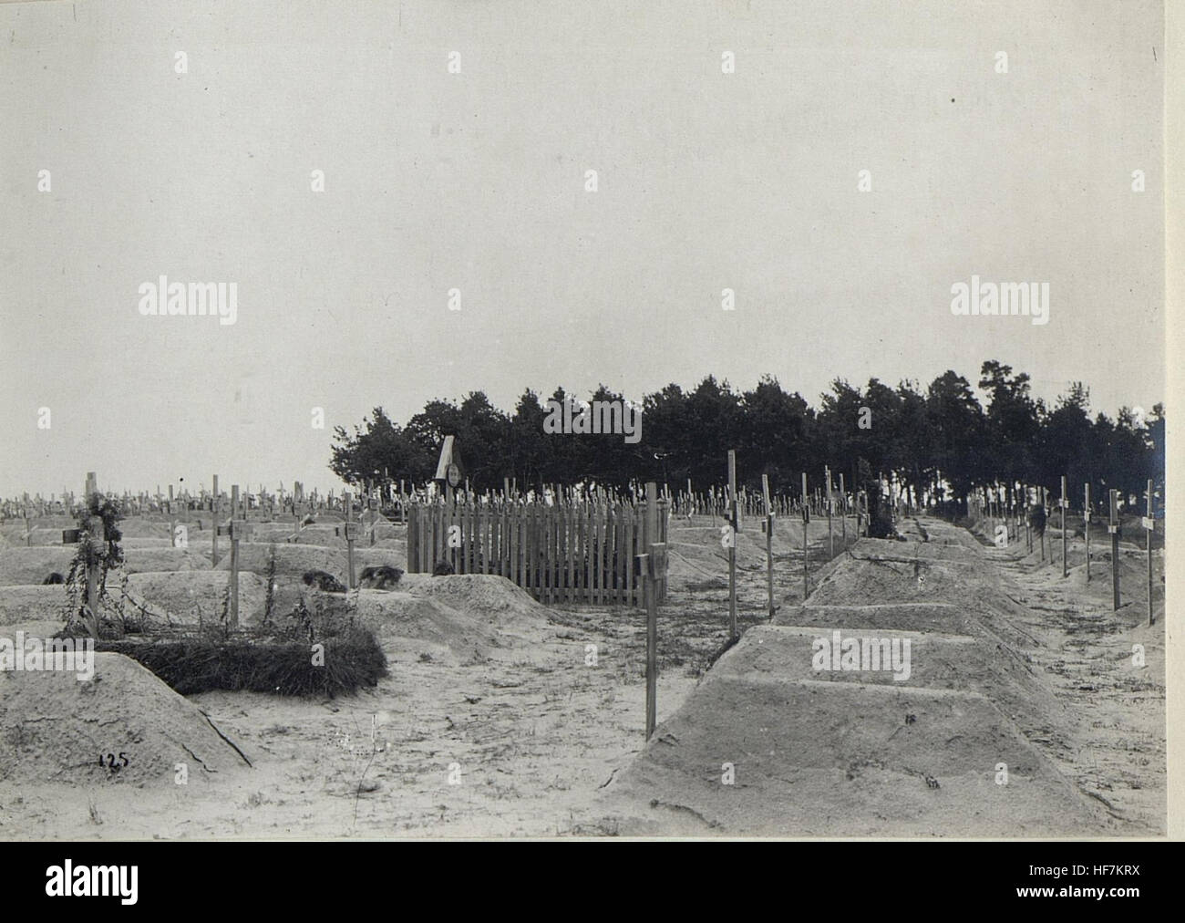 Kowel, Militärfriedhof. 15677190) Stockfoto