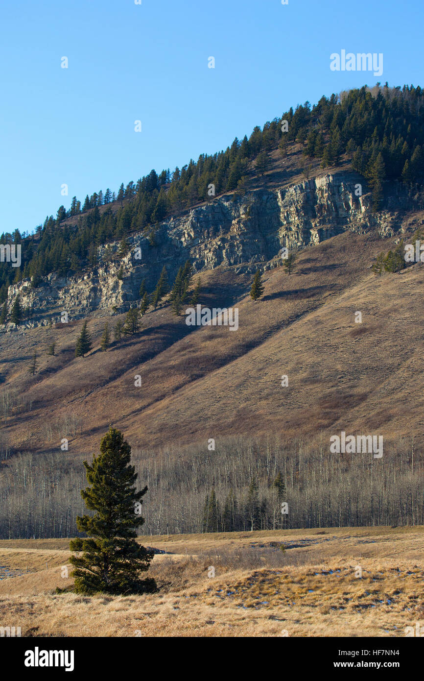 Rocky Mountain Vorgebirge in Herbst, sedimentärem Gestein Ridge, Nadel- und laubabwerfende Bäume Stockfoto