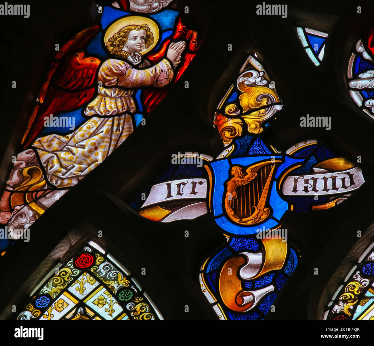 Glasmalerei Darstellung eine keltische Harfe als Symbol von Irland in der Kathedrale St. Bavo in Gent, Belgien. Stockfoto