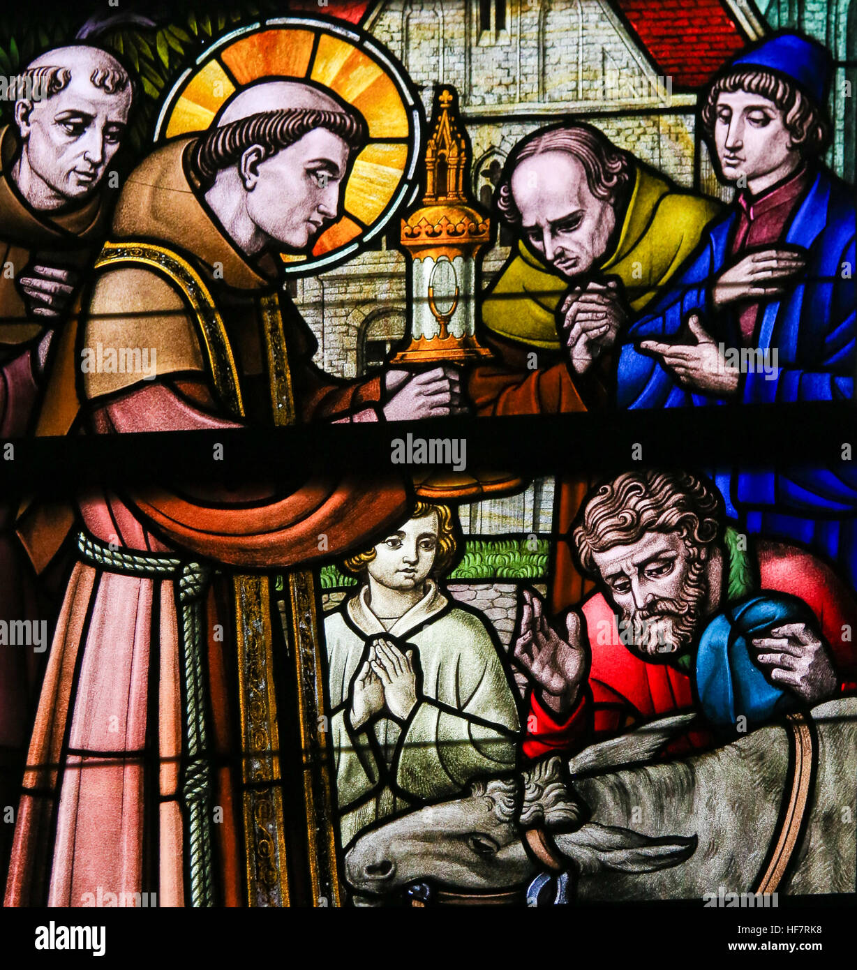 Glasmalerei-Fenster Darstellung Antonius von Padua mit dem knienden Esel in der Kathedrale St. Bavo in Gent, Flandern, Belgien. Stockfoto