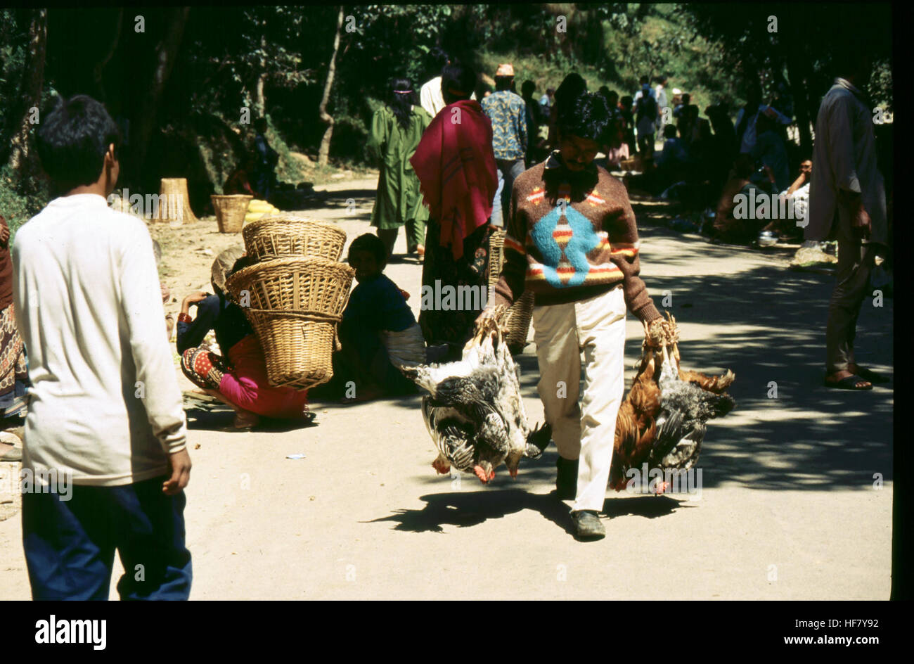 Anbieter verkaufen lebende Hühner für rituelle Opfer; Tal von Kathmandu, Nepal. Stockfoto