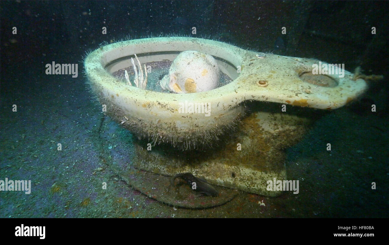 Ein Modell Schädel und Hand Wellen aus der Schale einer Toilette ruhen auf dem Boden der Brücke des versunkenen Schiffs "Black Bart" abseits der Küste von Panama City, Florida, 26. Mai 2016. Die "Black Bart," ein 185 Fuß Oilfield Supply Vessel, wurde im Jahr 1993 als künstliches Riff versunkenen und aufrecht in einer Tiefe von 85 Fuß ruht und ist eine gemeinsame Seite für Sporttaucher und Tauchgang Übungen.  von Glenn Fawcett Stockfoto