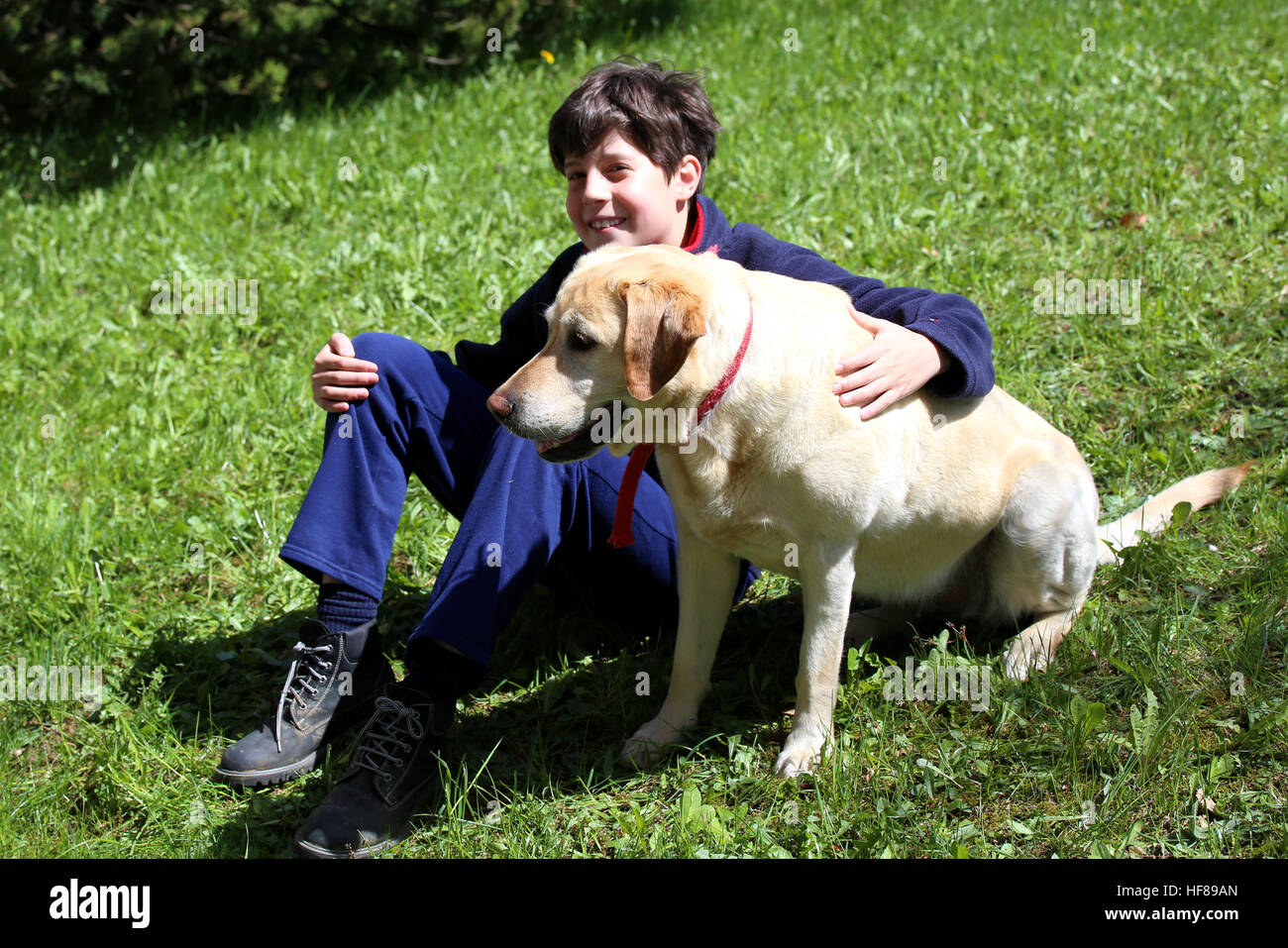 kleiner Junge mit seinem Hund auf dem Rasen Stockfoto