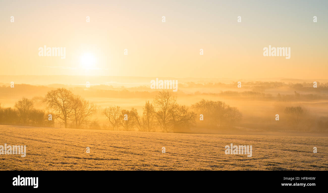 In der Nähe von Warwick, Warwickshire, UK, 29. Dezember 2016, geht die Sonne über Nebel ländlichen Landschaft an einem frostigen Winter knackig Morgen mit einer Temperatur von - 6ºC. © Dan Tucker/Alamy Live-Nachrichten Stockfoto