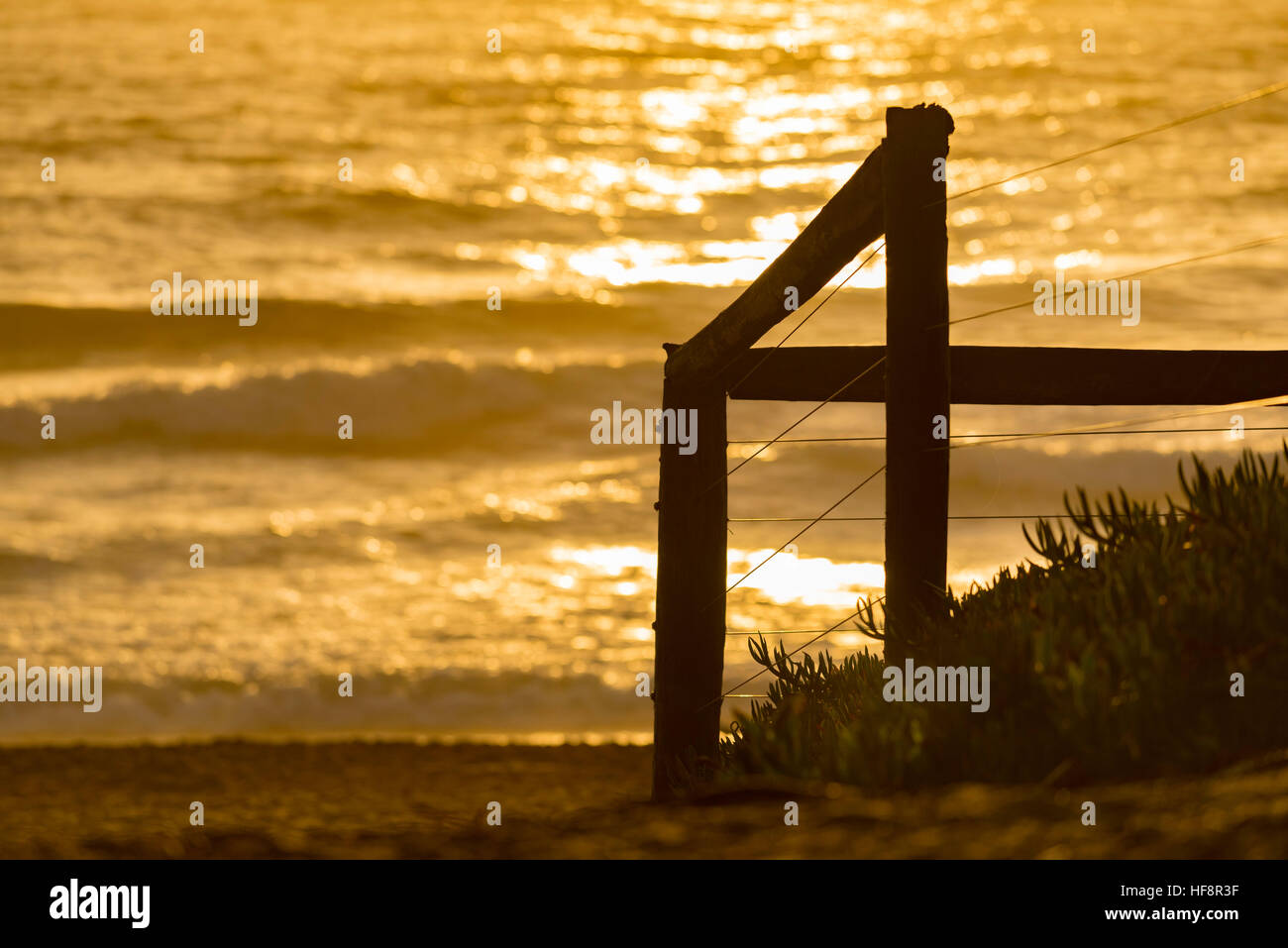 Ein goldener Sonnenaufgang und ein Pfad, der zu einem Strand in Sydney führt, während die Sonne über dem Ozean in Sydney, Australien aufgeht Stockfoto