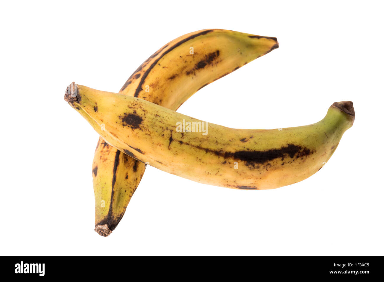 Kochbananen, die Lebensmittel Obst Kochen Braten Braten gelbe Yummi Stil stilvolle neue Banane-da-Terra Kochen Banane, Gemüse kochen Stockfoto