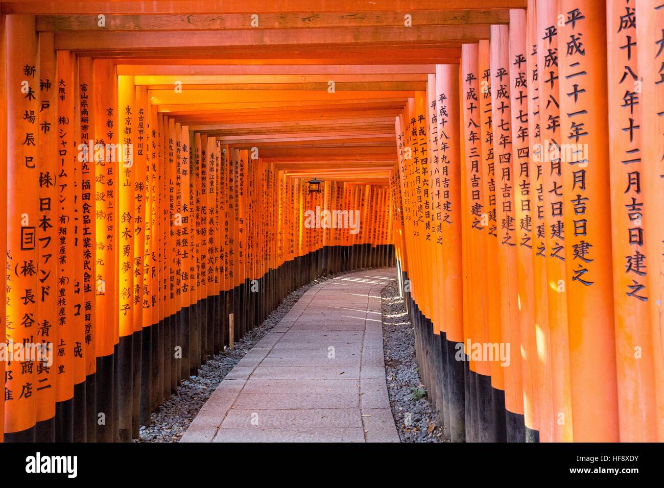 Kyoto, Japan - 13. Dezember 2014: Orange Tore genannt Torii am Fushimi Inari Schrein Stockfoto