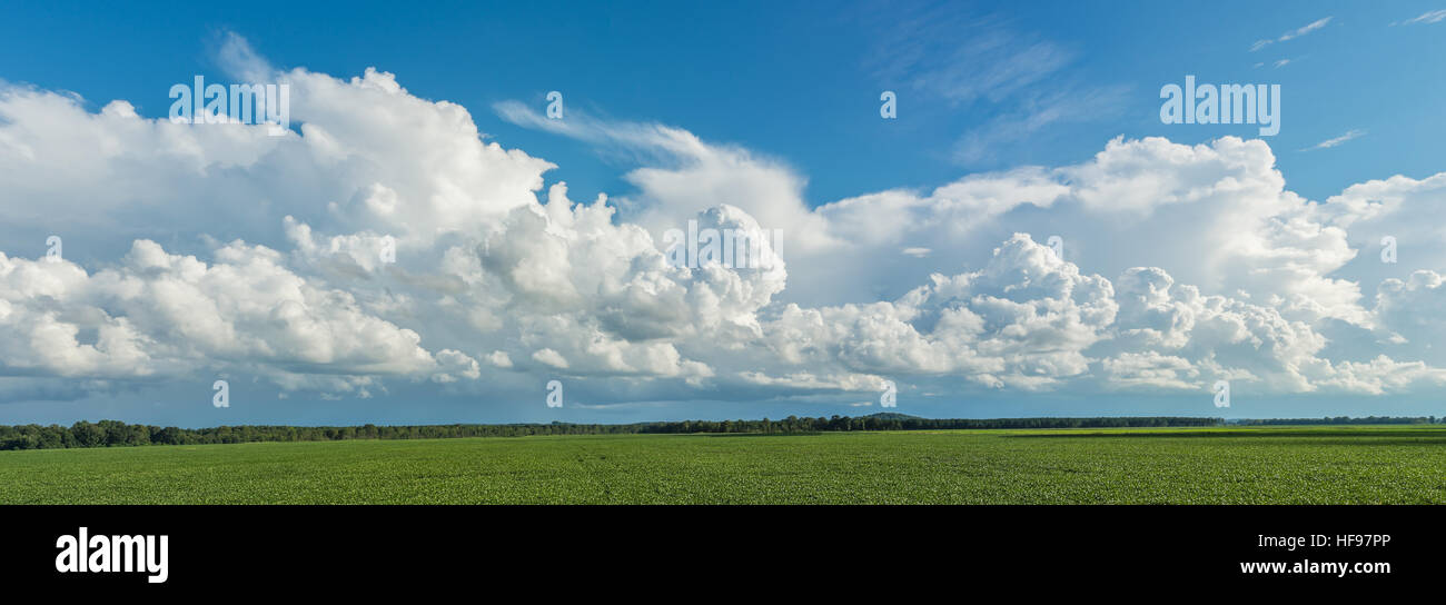 Wolkengebilde. Stockfoto