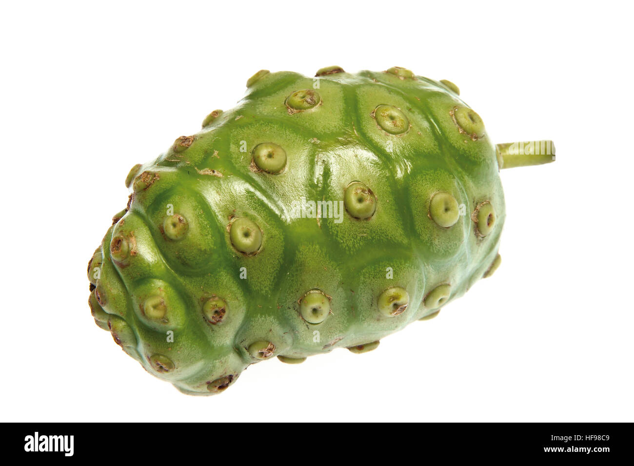 Noni-Frucht Stockfoto