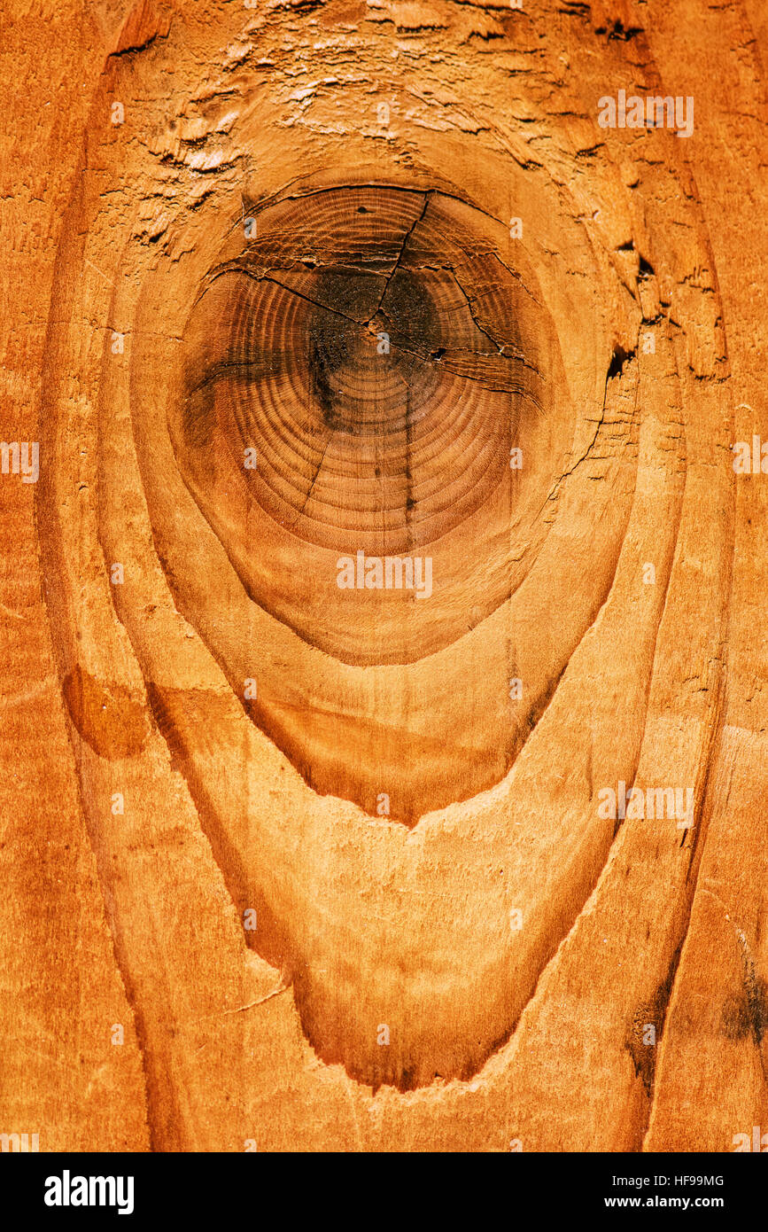 Alten verknotete Eiche Brett Oberfläche als natürlichen Hintergrund Stockfoto