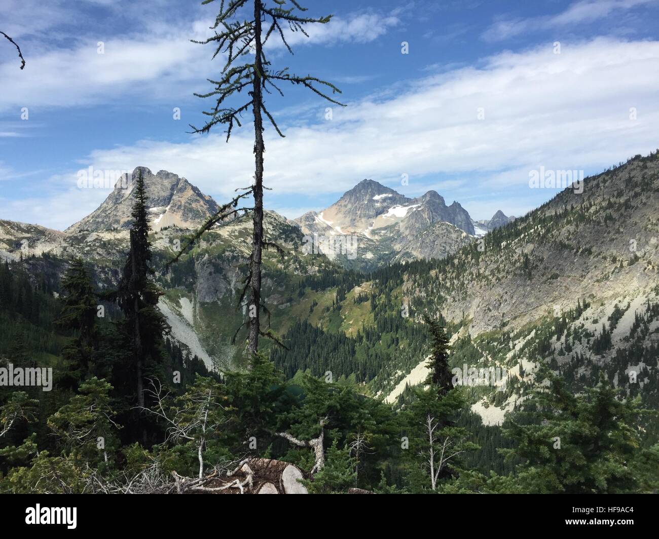 North-Cascades-Nationalpark, Washington: Ahorn-Rundwanderweg Stockfoto