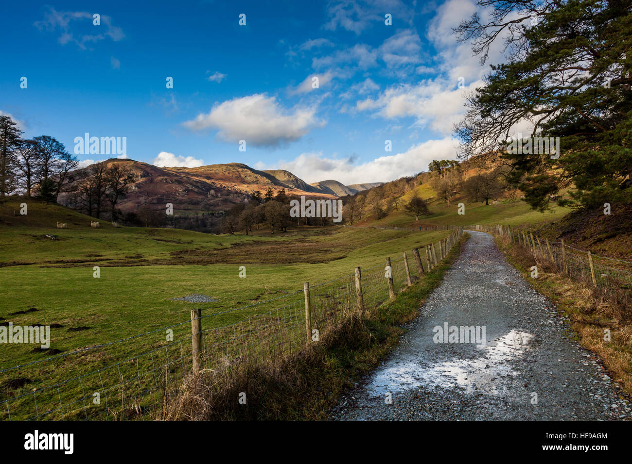 Verfolgen Sie durch Rydal Park in Richtung Rydal Hall, in der Nähe von Ambleside, Lake District, Cumbria Stockfoto