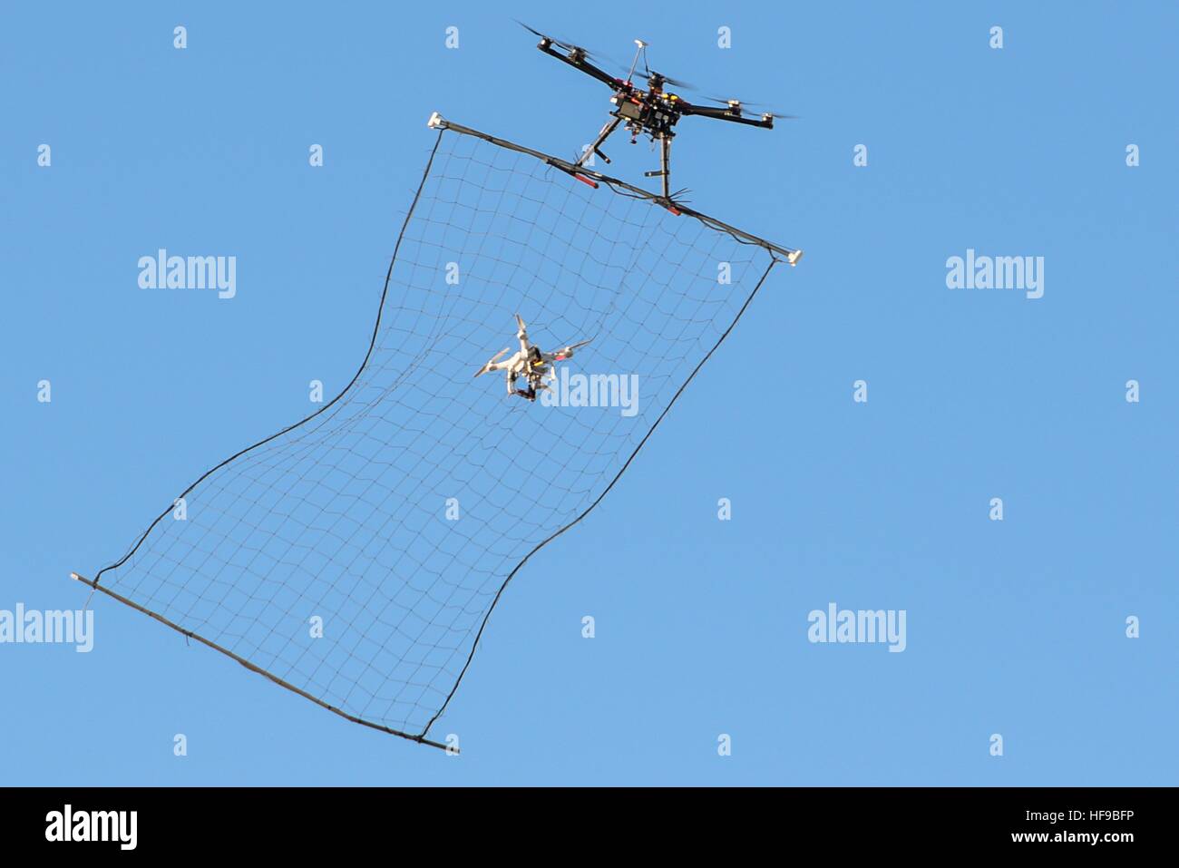 Eine Hunter-Killer-Drohne unmanned aerial System erfasst eine Phantom 3 Drohne in seiner net während des Flugs während der Air Force Research Laboratory Kommandanten Challenge auf der Nevada National Security Site 13. Dezember 2016 in Las Vegas, Nevada. Stockfoto