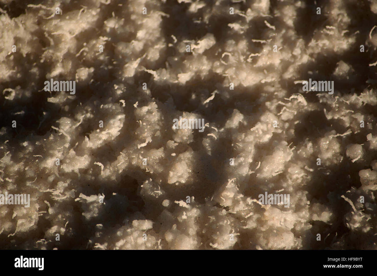 Detail des Salzes in Salinas Grandes de Jujuy, Argentinien Stockfoto