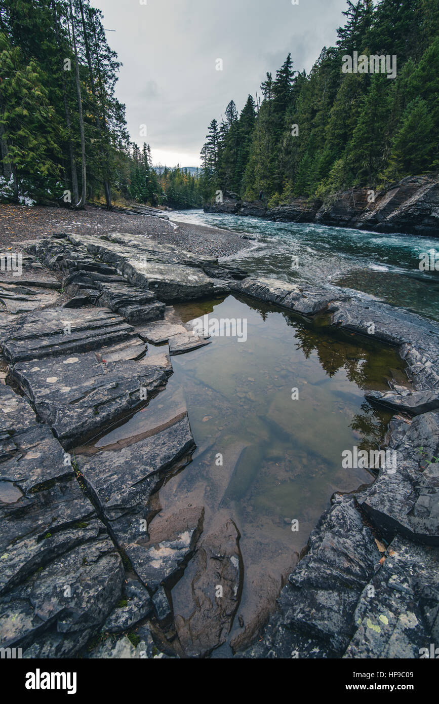 Wald-Fluss spiegelt sich in einem ruhigen pool Stockfoto