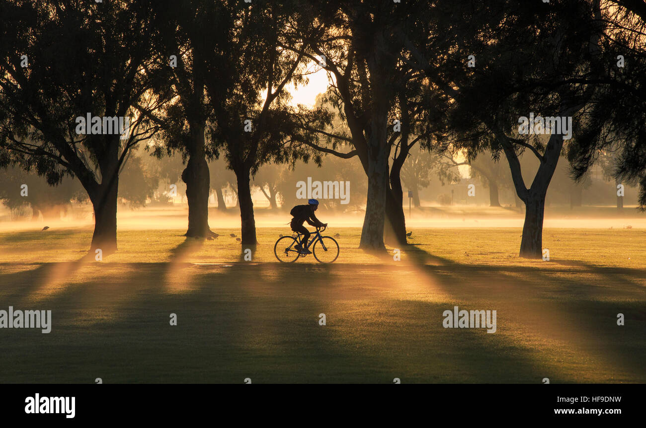 Eine weibliche Radsportler auf einem Radweg durch einen Park an einem nebligen Morgen bei Sonnenaufgang. Stockfoto