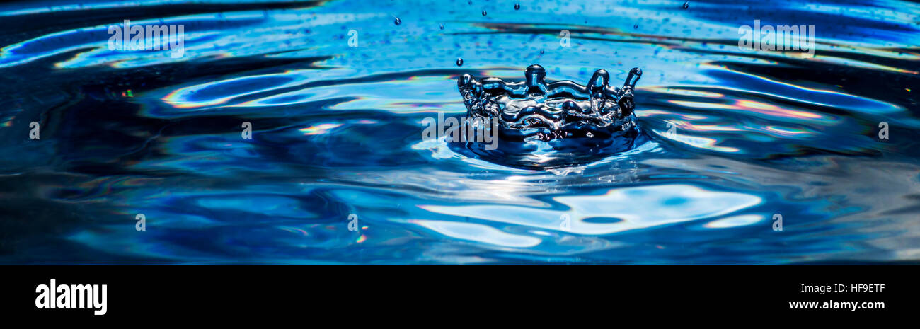 Krone besteht aus einem Tropfen Wasser auf schwarzem Hintergrund Stockfoto