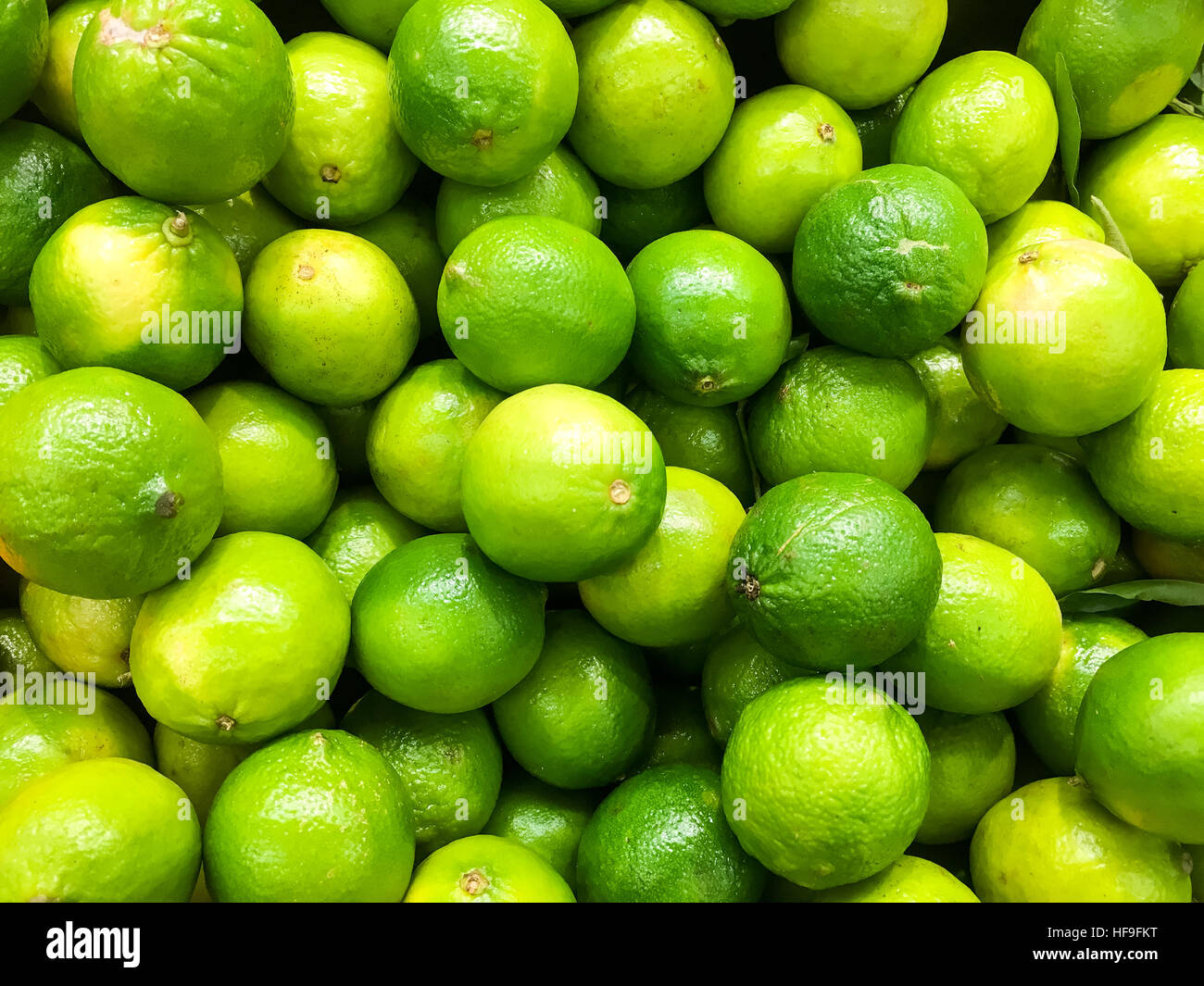Kalk-Zitrusfrüchte im Obstmarkt Stockfoto