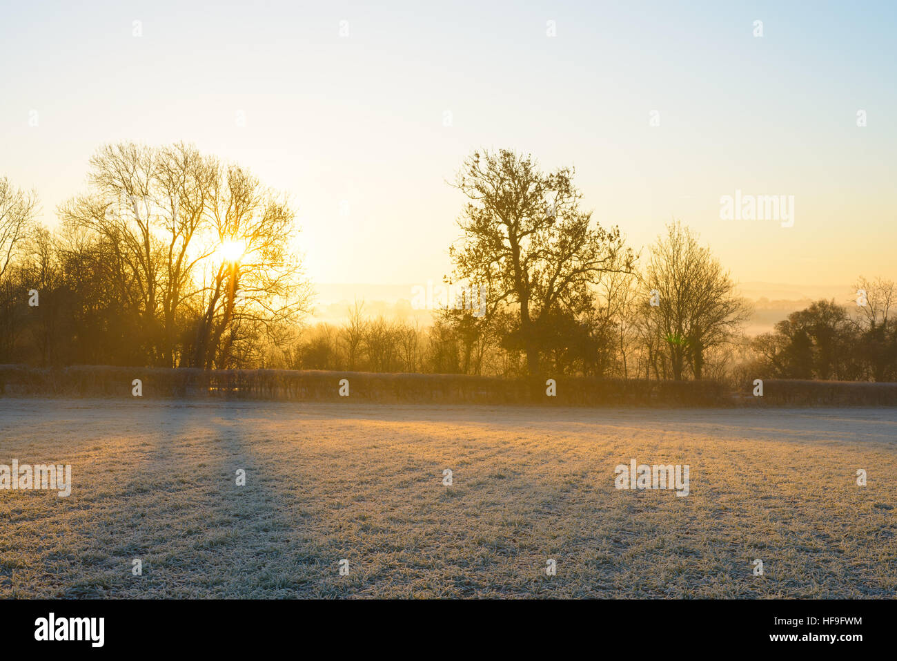 Sonnenaufgang über nebligen ländlichen Landschaft an einem frostigen Winter knackig Morgen mit einer Temperatur von - 6ºC in der Nähe von Warwick, Warwickshire, Großbritannien Stockfoto