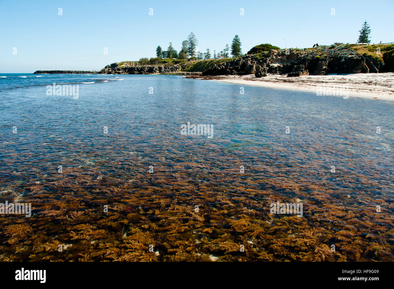 Cottesloe Beach - Perth - Australien Stockfoto