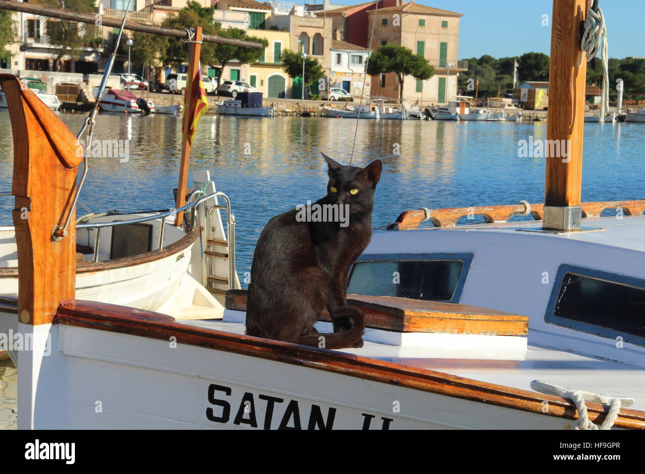 Hauskatze, schwarz, sitzend auf einem Boot in den Hafen von Portocolom, Balearen, Mallorca Stockfoto