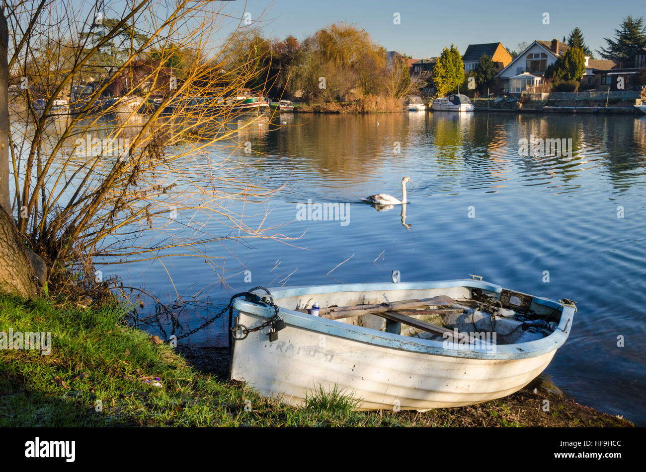 Ein Ruderboot ist angekettet an einen Baum am Ufer der Themse an Old Windsor in Berkshire, Vereinigtes Königreich. Stockfoto