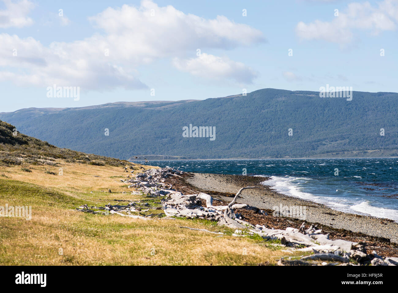 Küste, Haberton, Patagonien, Argentinien Stockfoto