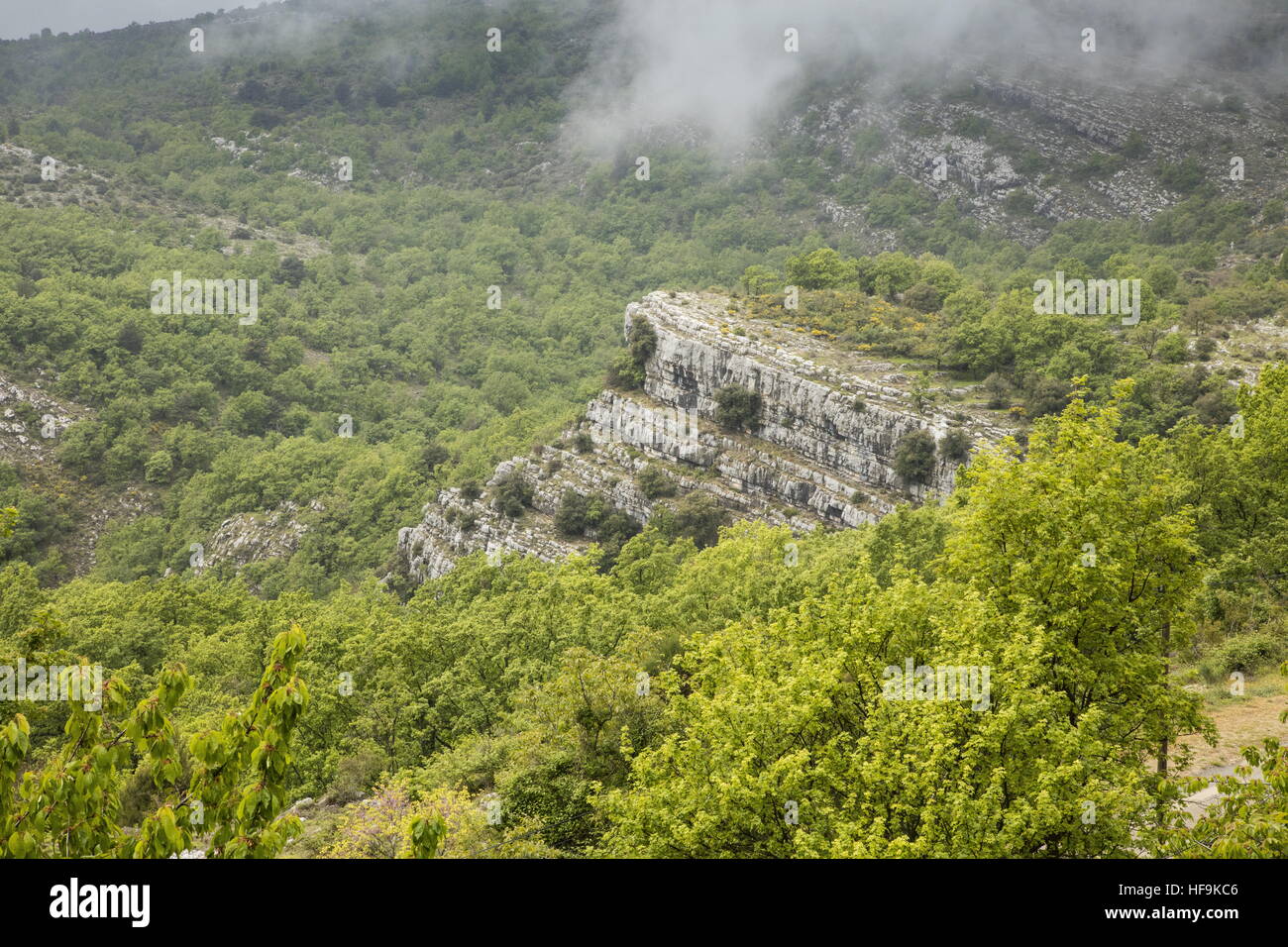 Kalksteinhügeln oberhalb von Gourdon, Plateau de Calern, Provence, Frankreich Stockfoto