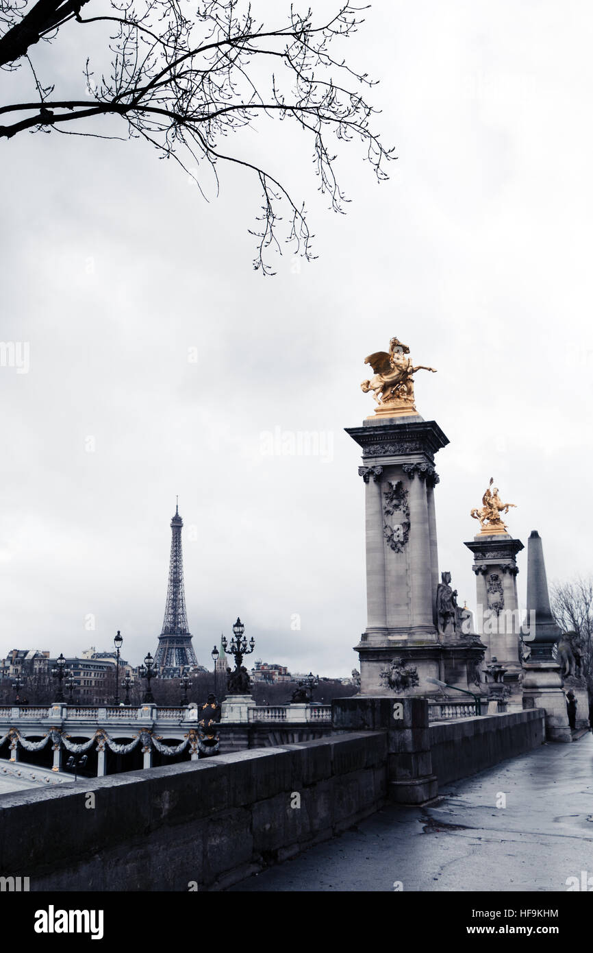 Alexander III-Brücke in Paris an einem regnerischen Wintertag Stockfoto