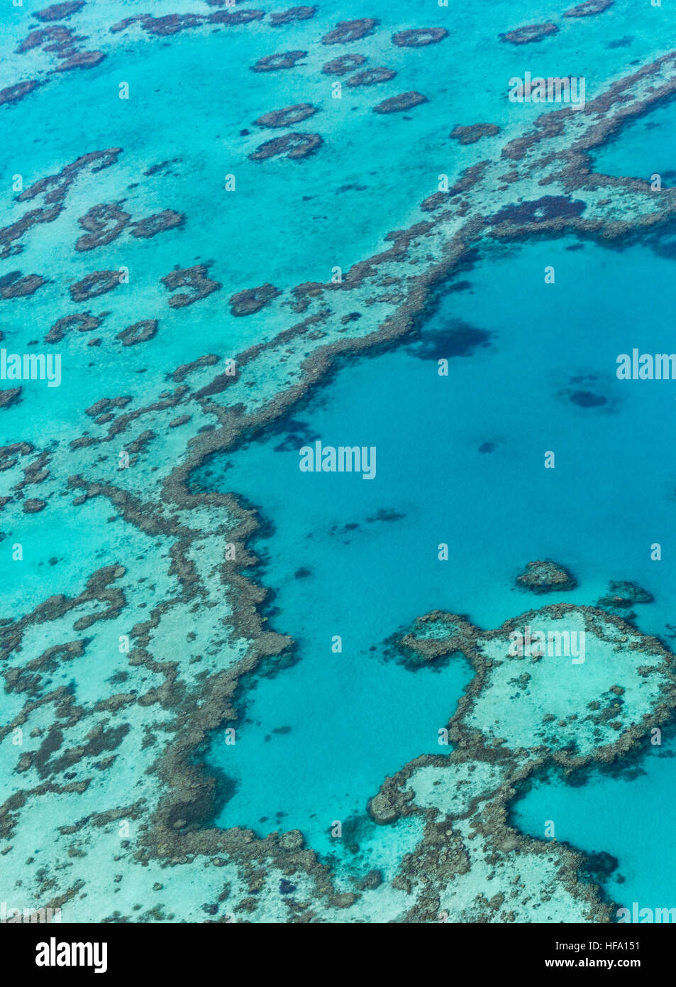 Great Barrier Reef von oben, Queensland, Australien Stockfoto