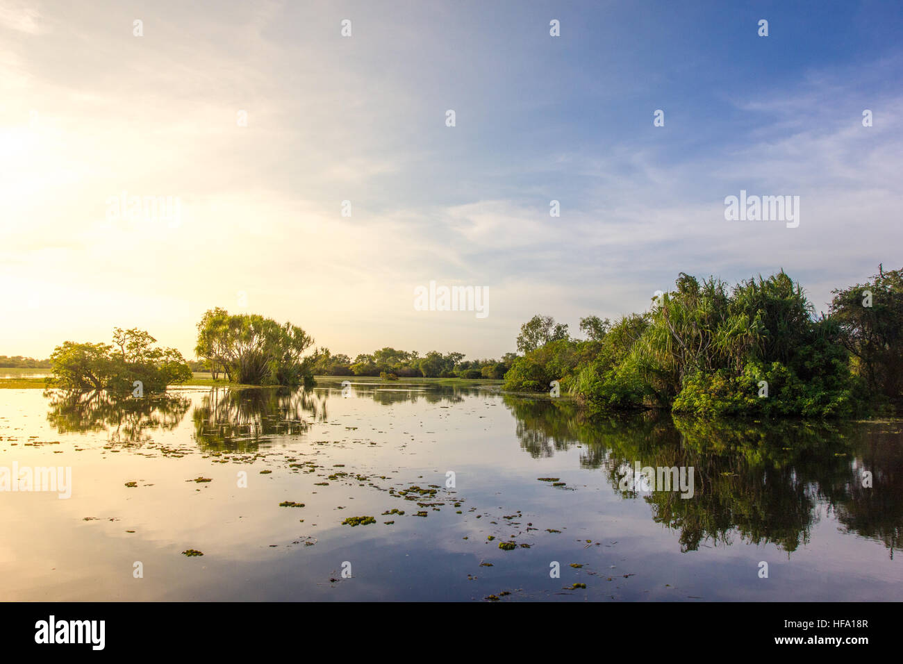 Kakadu, gelb Wasser Billabong, Australien Stockfoto