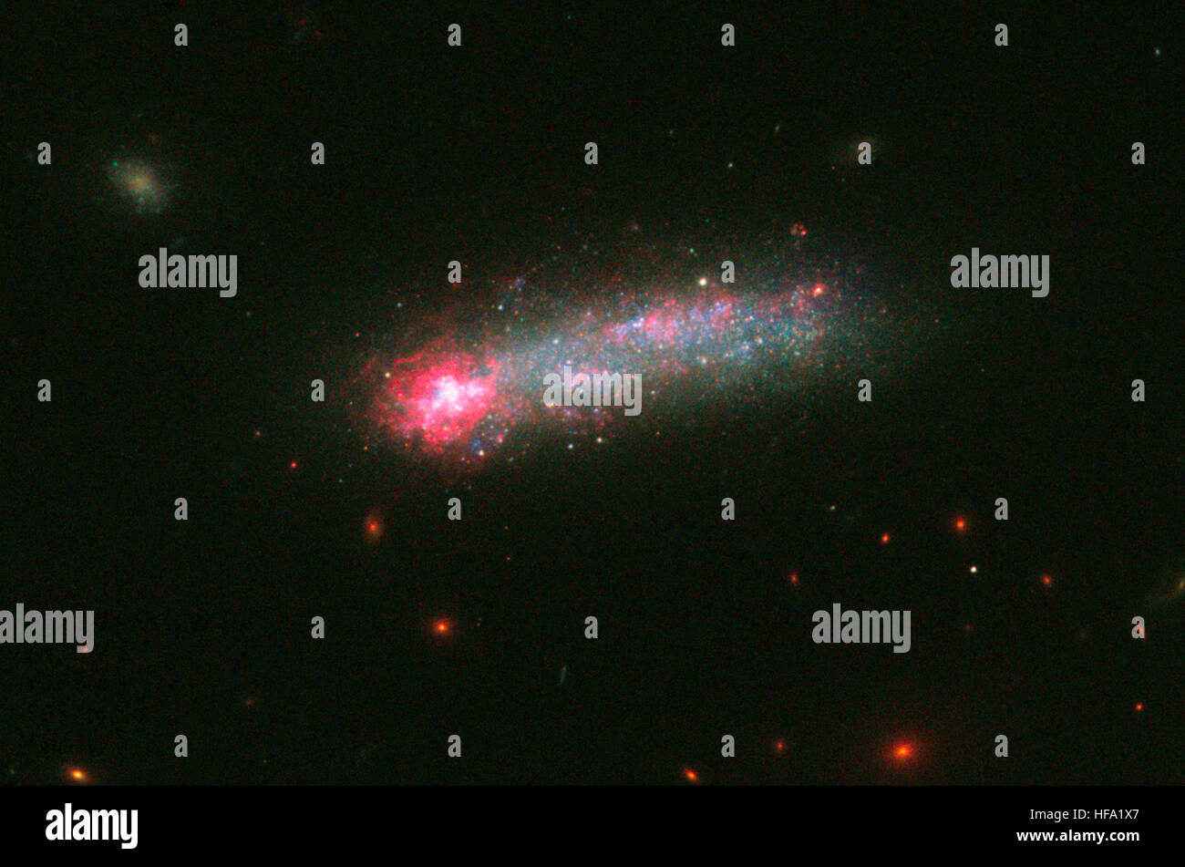 Das Hubble Weltraumteleskop fängt einen atemberaubenden Blick auf das Sternfeuerwerk in der Galaxis „Skyrocket“ ein und enthüllt dynamische kosmische Aktivität. Stockfoto