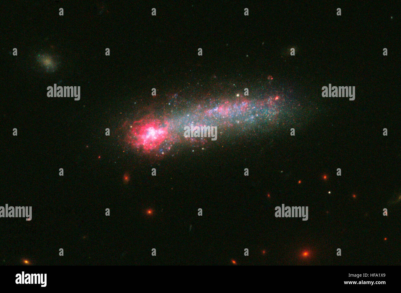 Das Hubble-Weltraumteleskop der NASA erfasst spektakuläre Bilder von Sternfeuerwerken in der „Skyrocket“-Galaxie und enthüllt Regionen intensiver Sternentstehung. Stockfoto