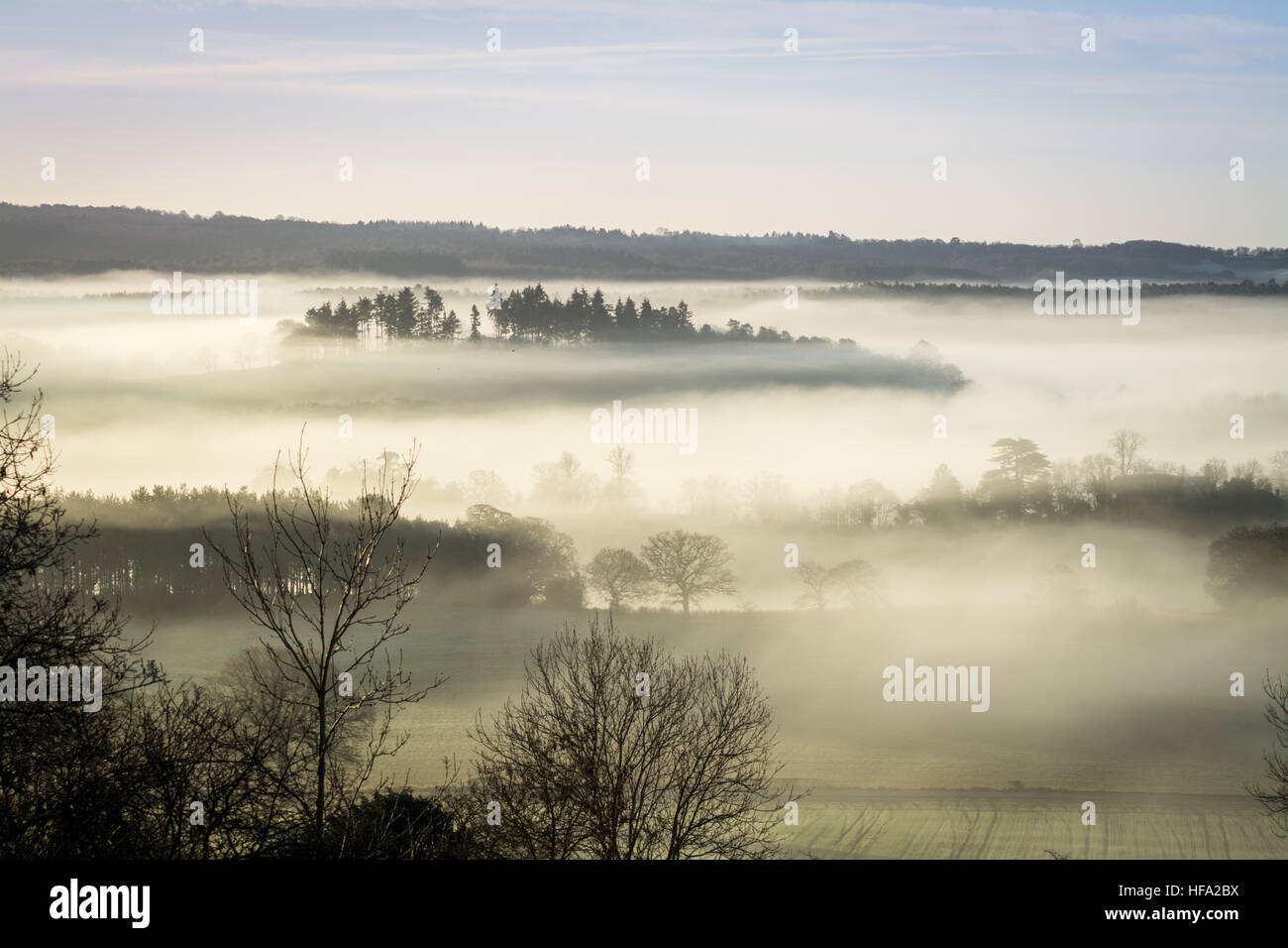 Newland's Corner in den Surrey Hills AONB, Großbritannien. Eine nebelige Talszene oder Landschaft am frühen Morgen im Winter. Stockfoto