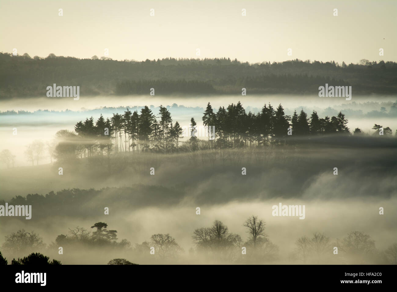 Newland's Corner in Surrey Hills AONB, Großbritannien. Neblige stimmungsvolle Tallandschaft oder Szene am frühen Morgen im Winter oder dezember. Stockfoto