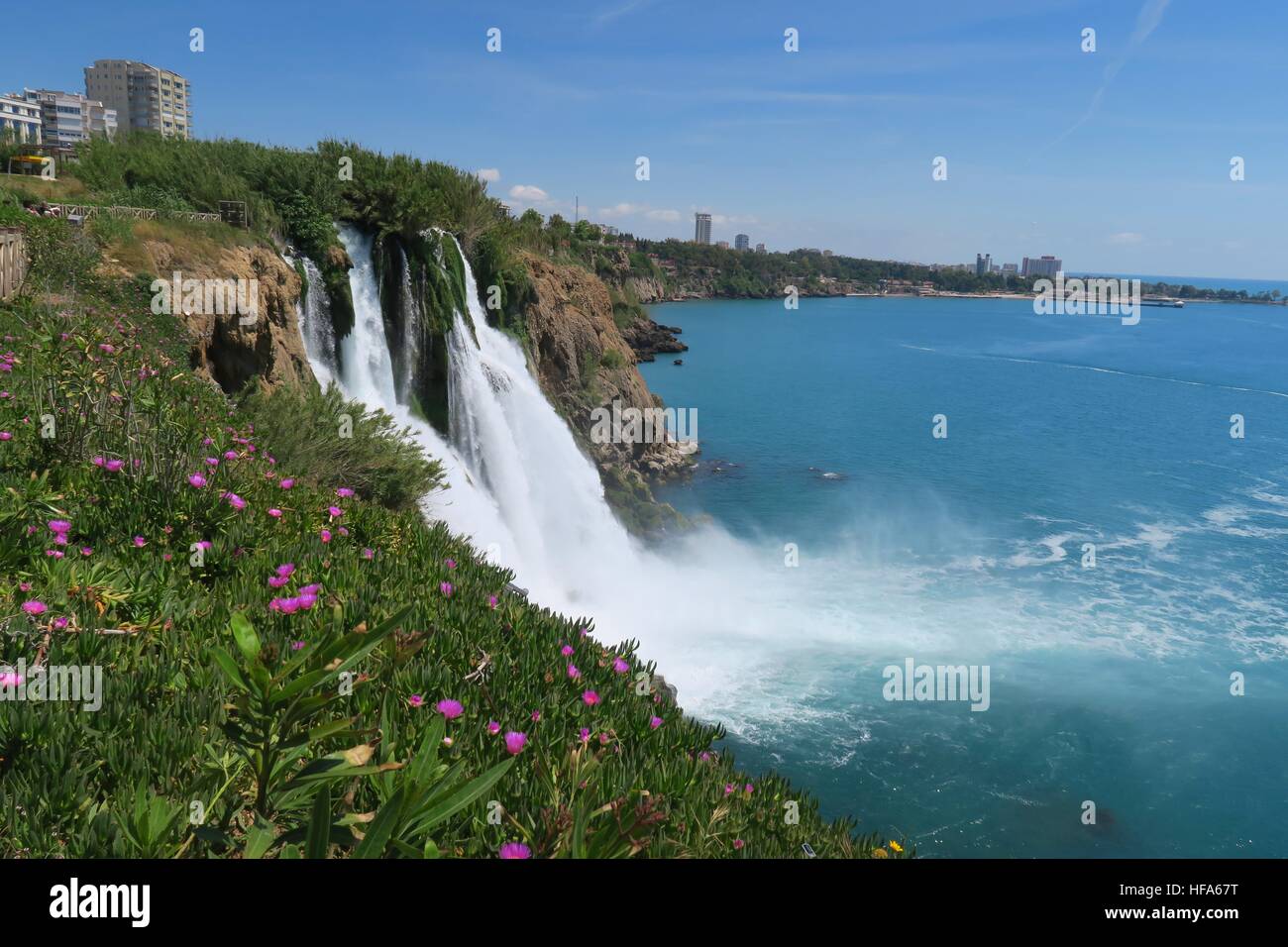 Blumen am Duden Wasserfall in Antalya, Türkei im Frühjahr Stockfoto