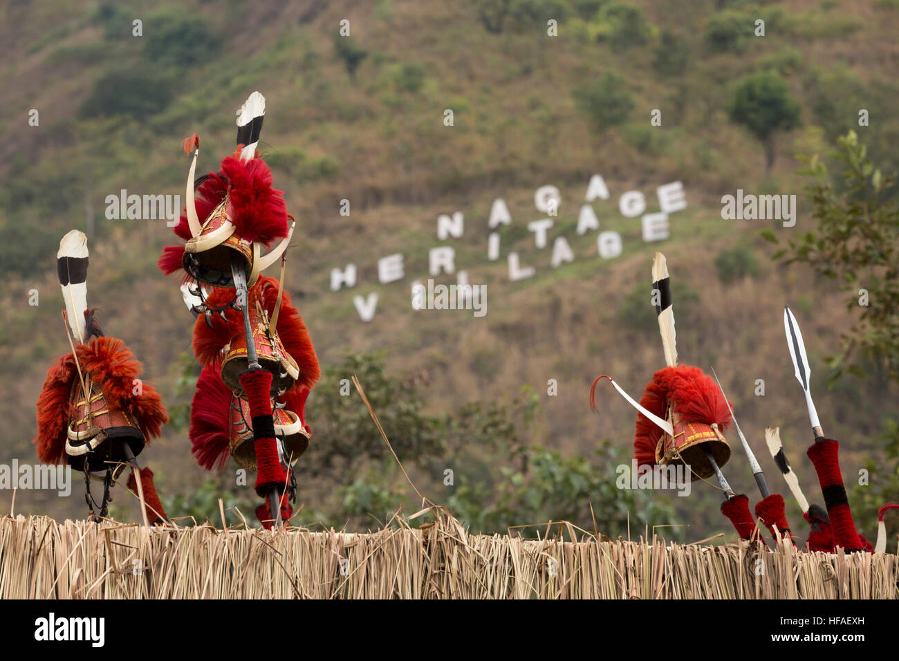 Pochury Kopfschmuck Hornbill Festival 2015, Kisama Dorf, Kohima Bezirk, Nagaland, Indien. Stockfoto