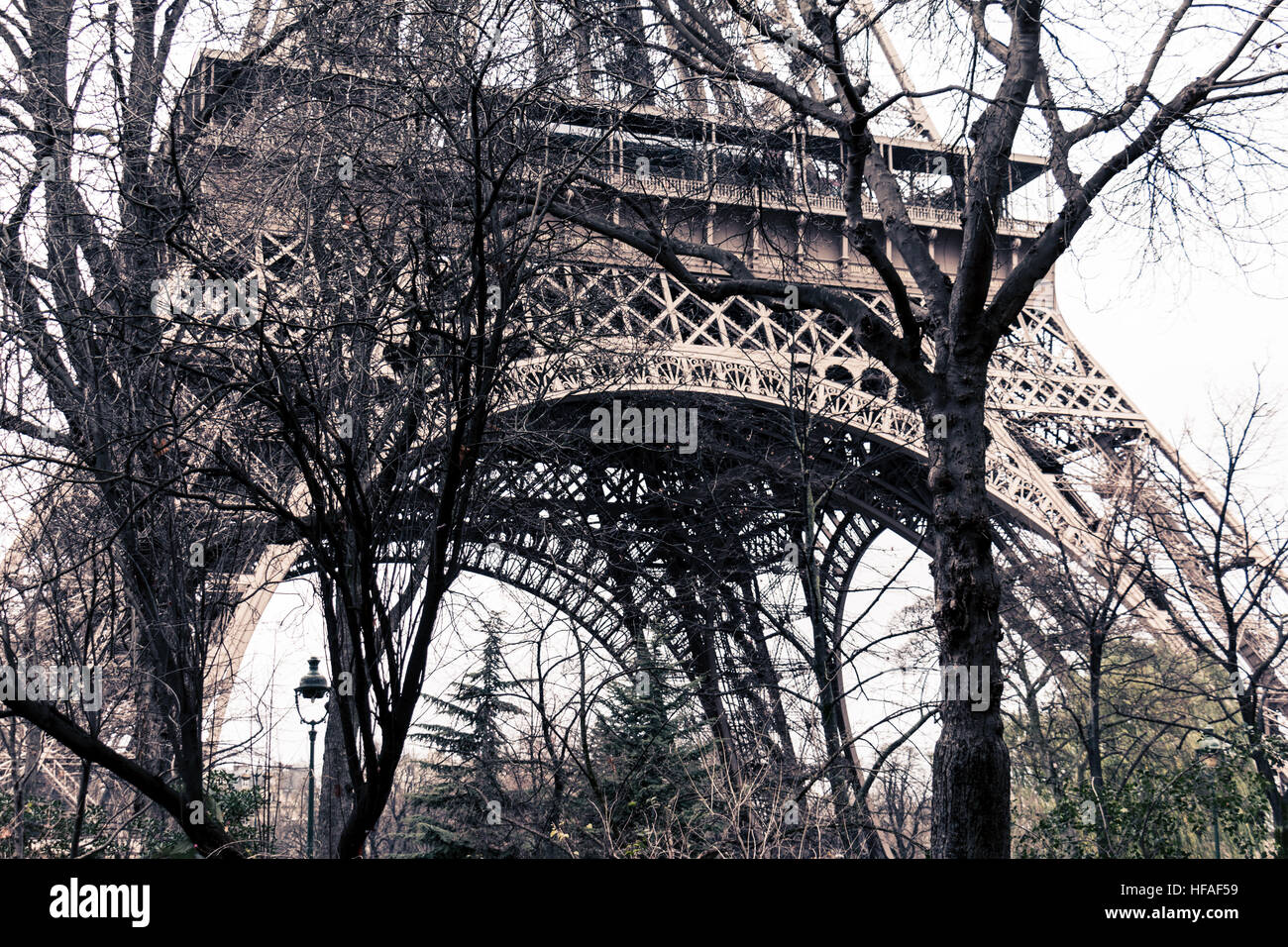 Detail des Eiffelturms gedreht zwischen Bäumen in Paris, Frankreich Stockfoto