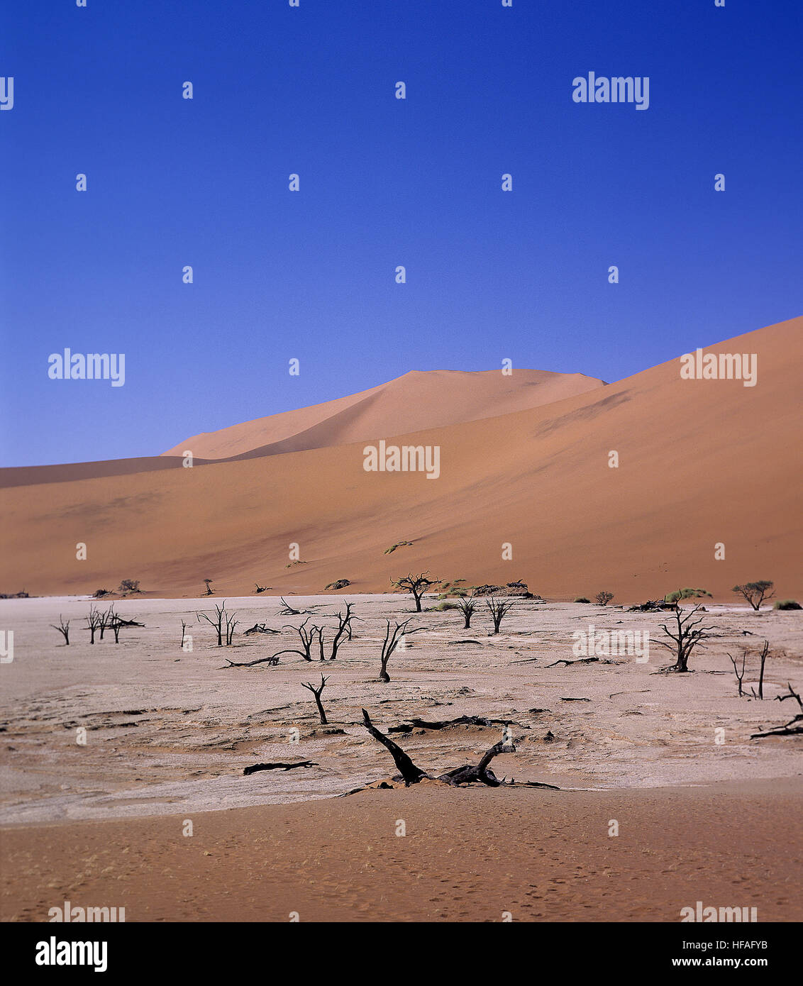 Namib-Wüste, Dünen von Sossusvlei, Namibia Stockfoto