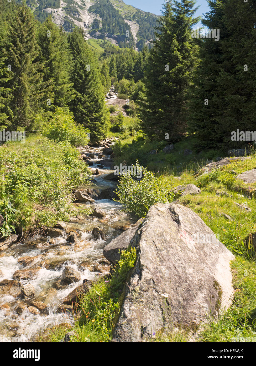 Alpine Stream im Zillergrund-Tal Stockfoto