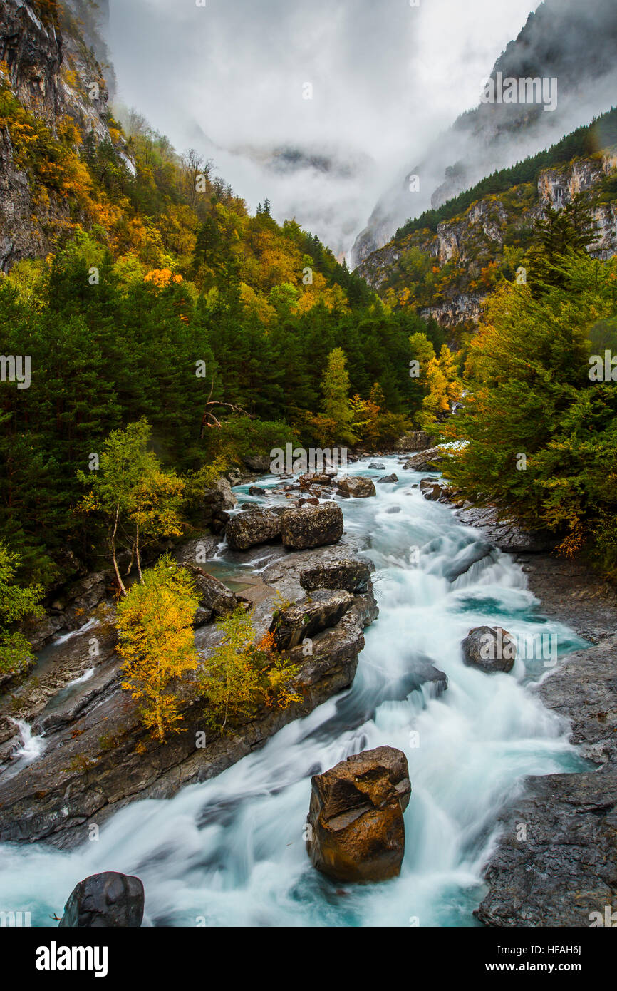 Fluss und Laubwald im Herbst. Bujaruelo Tal. Huesca, Aragon, Spanien, Europa. Stockfoto