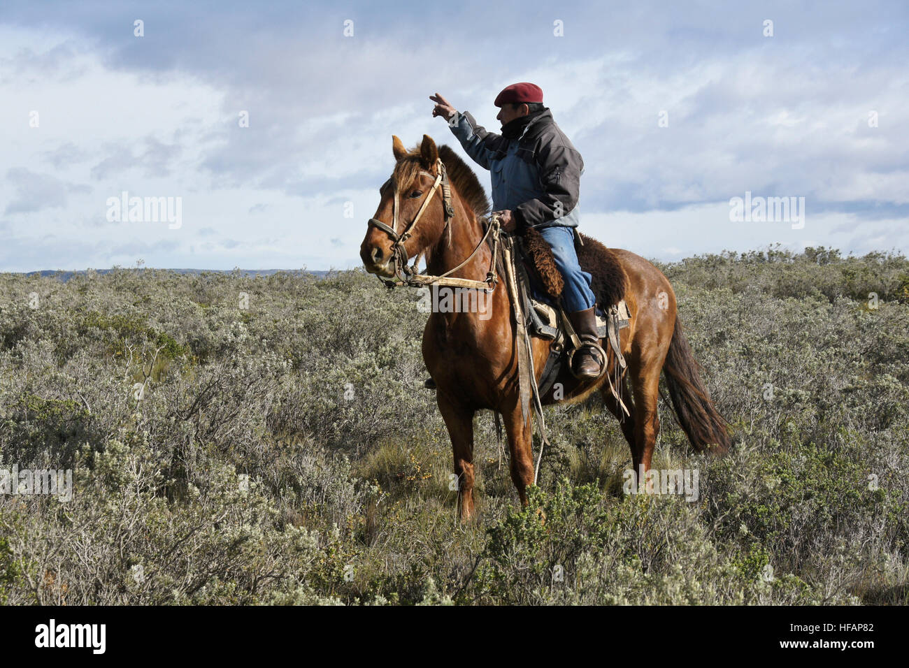 Ovejero (Gaucho, Schäfer, Cowboy) auf Pferd, Patagonien, Chile Stockfoto